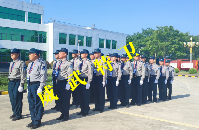 职业纪律及工作要求