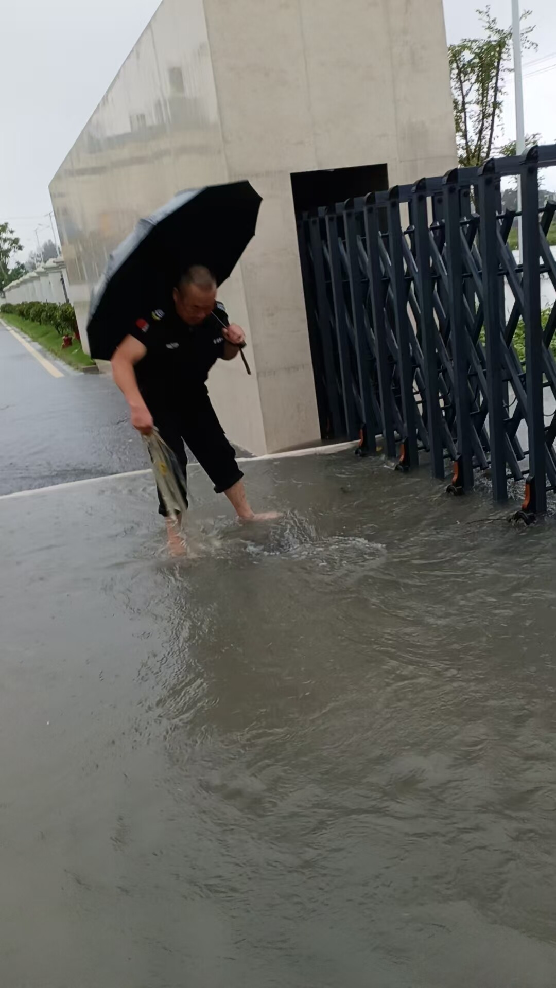 5de3a2ef5667c401395e7677f62370a.jpg 5de3a2ef5667c401395e7677f62370a.jpg