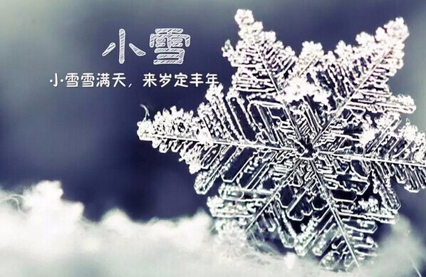 小雪至，寒意濃