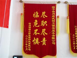 臨危不懼盡職盡責(zé)錦旗