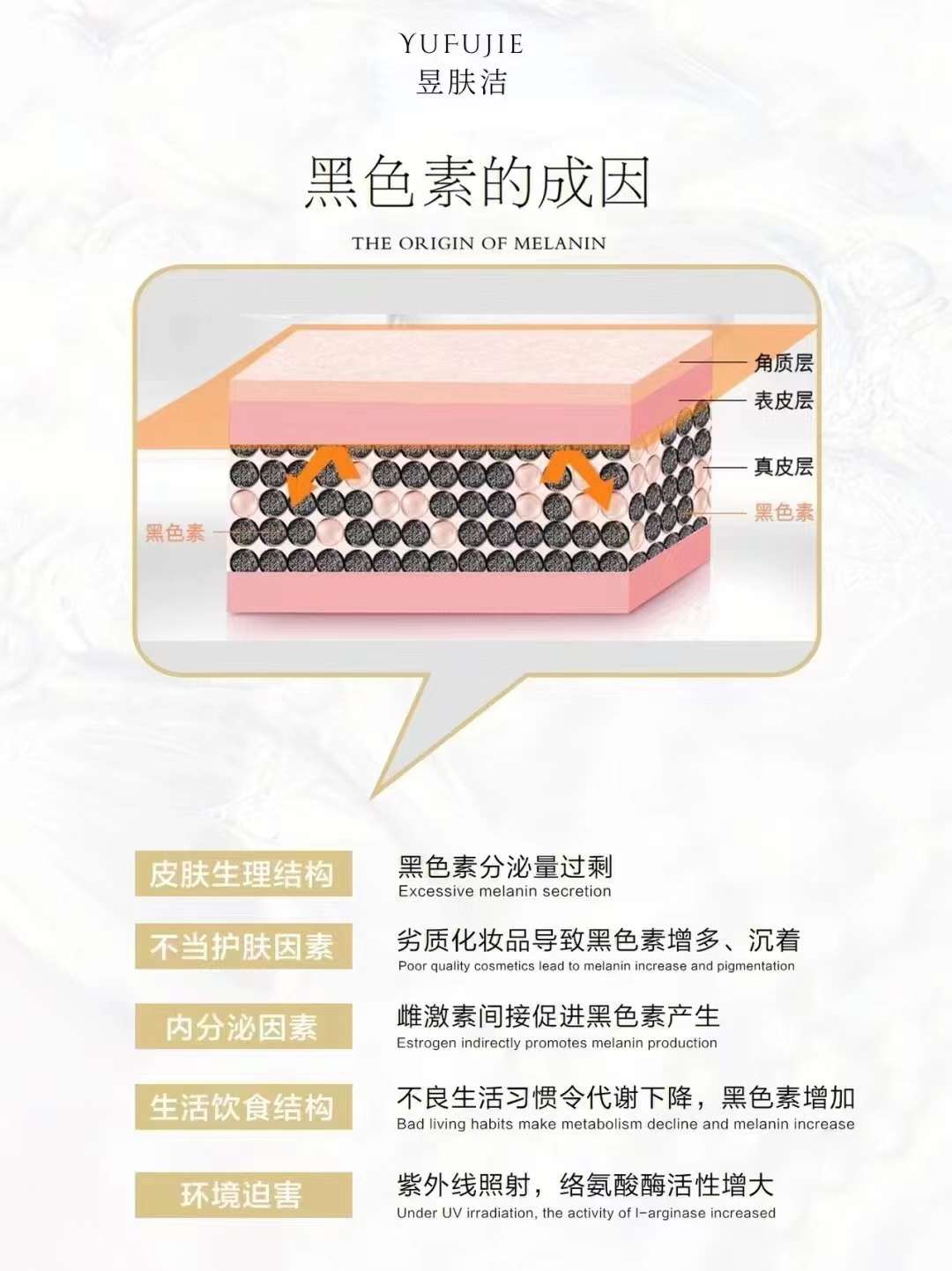 所谓知己知彼，百战不殆  你想消灭黑色素，首先要了解它