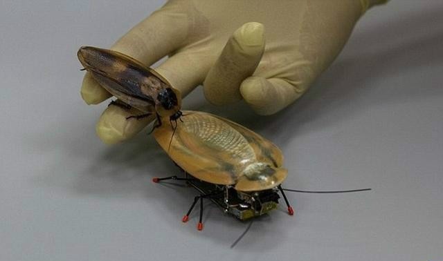 地震救援机器人什么时候能全面开工？