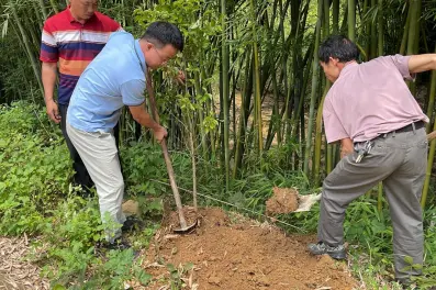 广东肇庆广宁践行“一案双查”，实现环境执法与损害赔偿“双闭环”