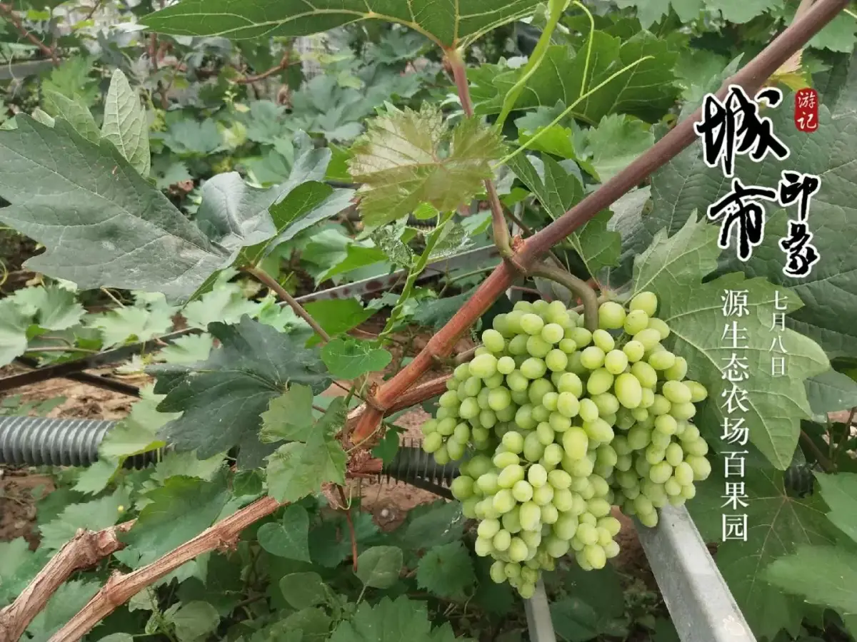 各种材质的大棚取暖翅片管.jpg 各种材质的大棚取暖翅片管.jpg