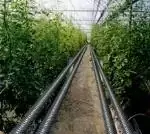 翅片管.jpg