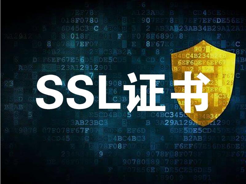 SSL数字证书自动颁发功能上线啦！