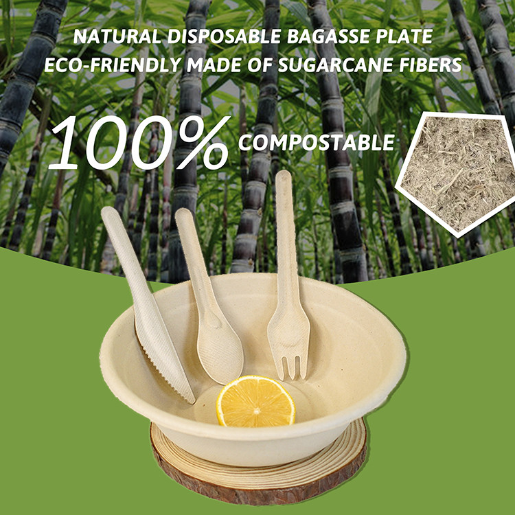 产品海报1 拷贝.jpg