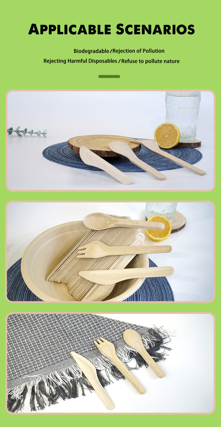 实拍展示-3 拷贝.jpg