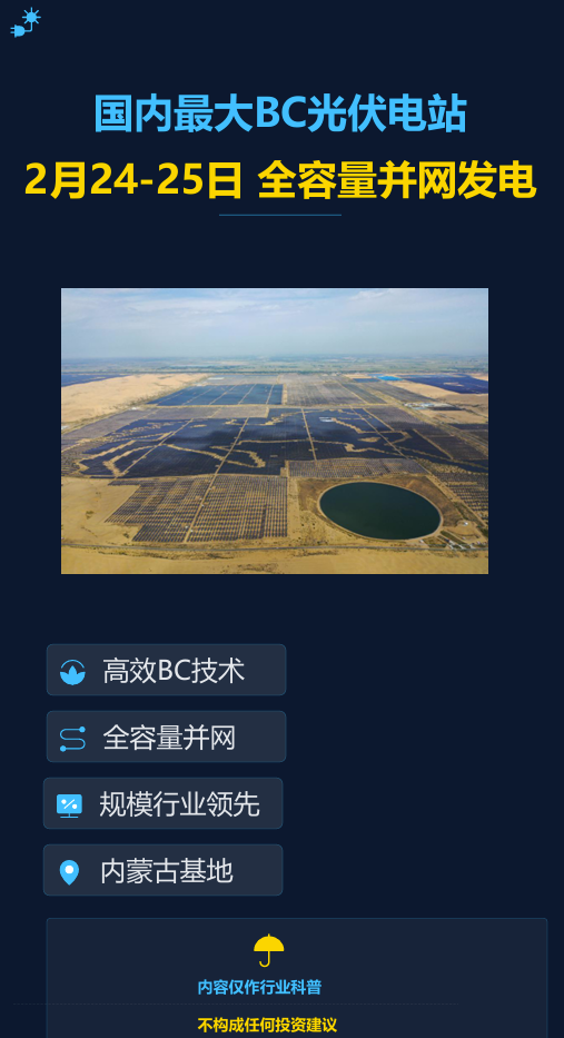 China's largest BC photovoltaic power station officially announced full capacity grid connection on February 25, 2026