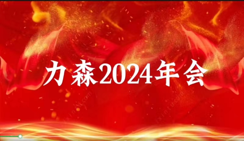 2024龙腾盛世——玉兔归山去，金龙迎新春