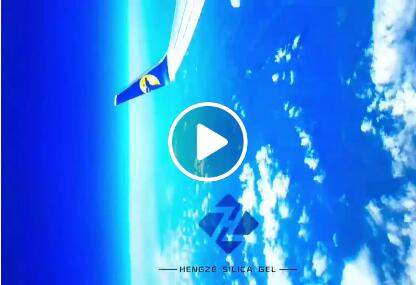 参观客户油库和黑柴油脱色生产线。