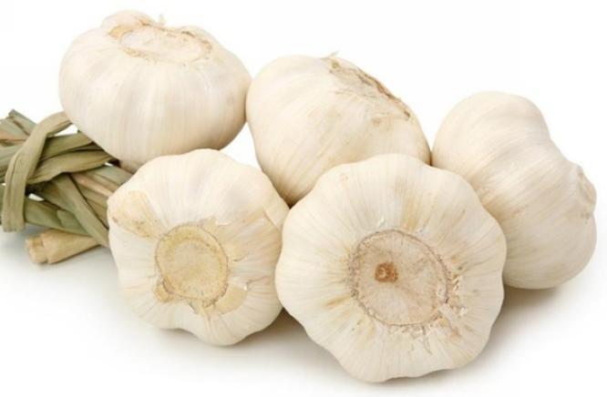 大蒜
