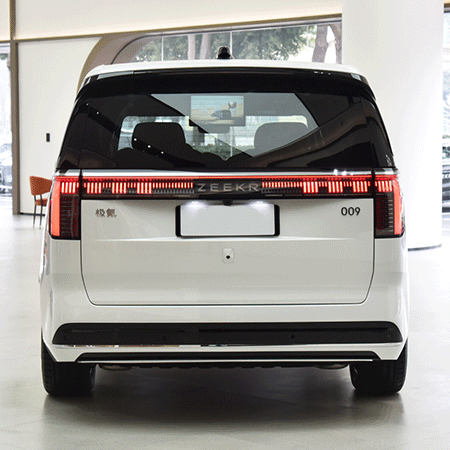 极氪 009