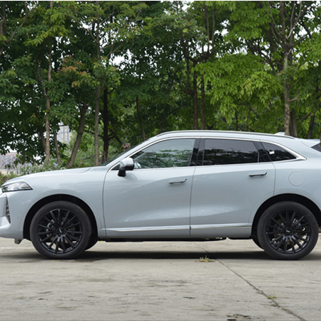  魏牌 摩卡DHT-PHEV