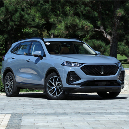 魏牌 拿铁DHT-PHEV