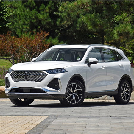 魏牌 拿铁DHT-PHEV