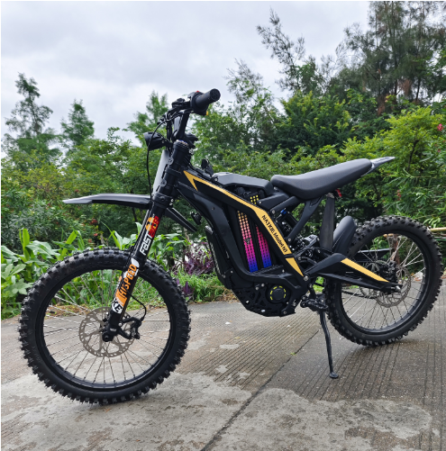 72V 4KW Middle Hub Natkie N1 All-Terrain Electric Motorcycle