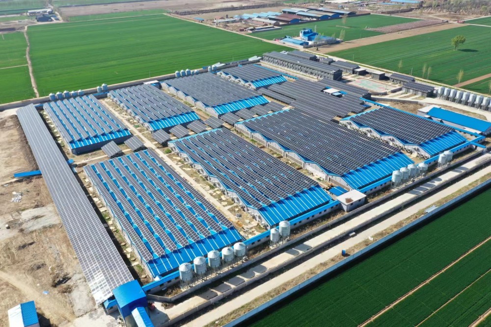 安平京安集团（中佐猪场）5.8MW