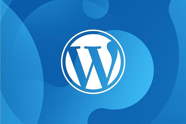 wordpress外贸建站.jpg wordpress外贸建站.jpg