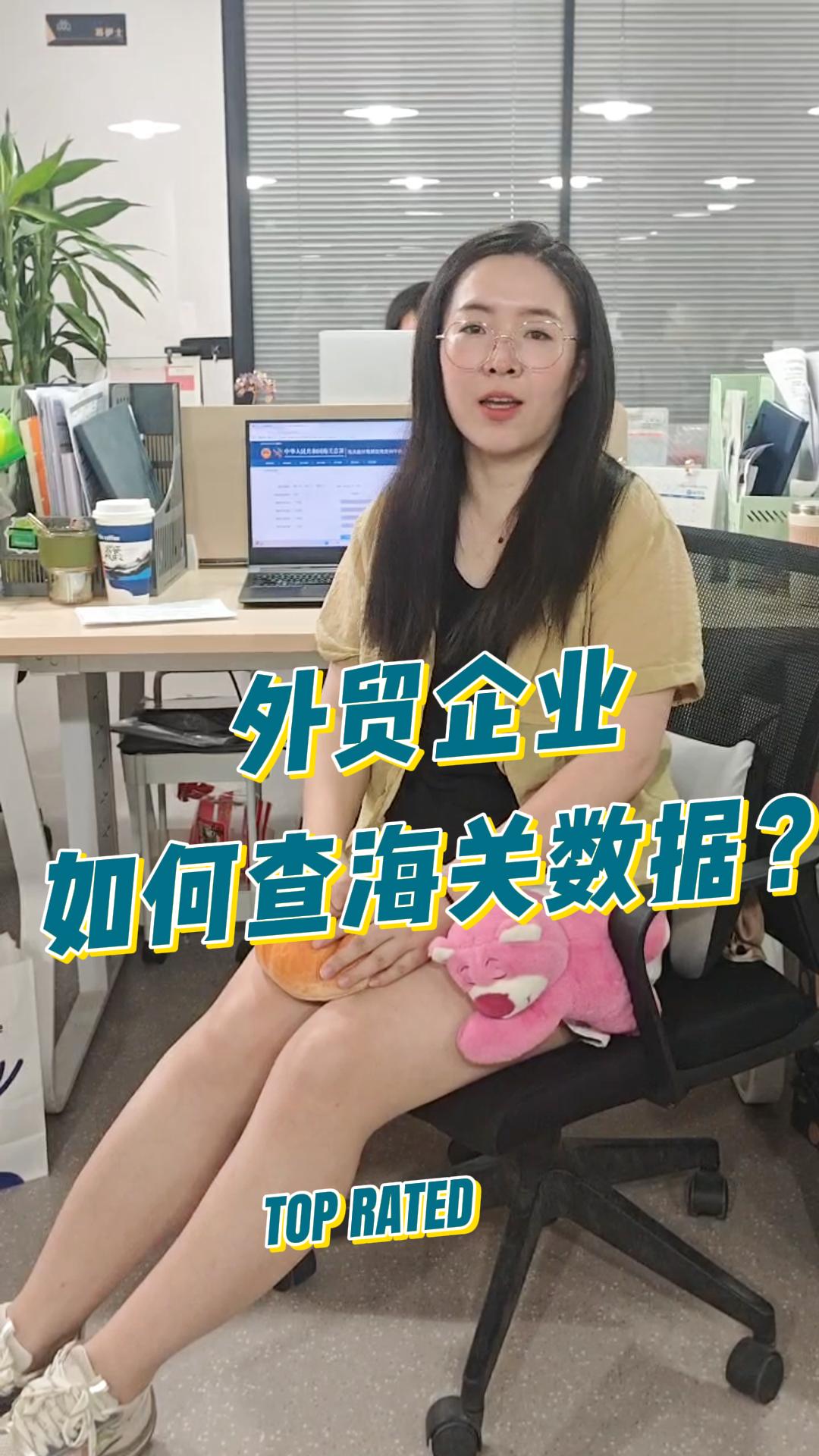 外贸企业，如何查海关数据？