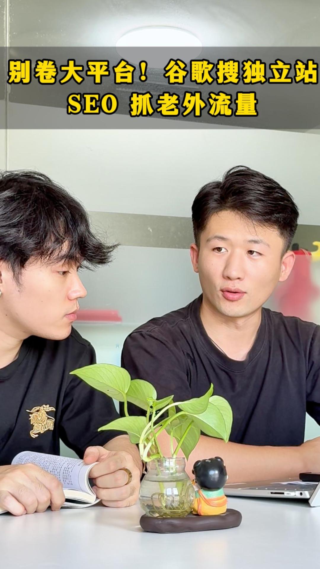  别卷大平台！谷歌搜独立站，SEO 抓老外流量