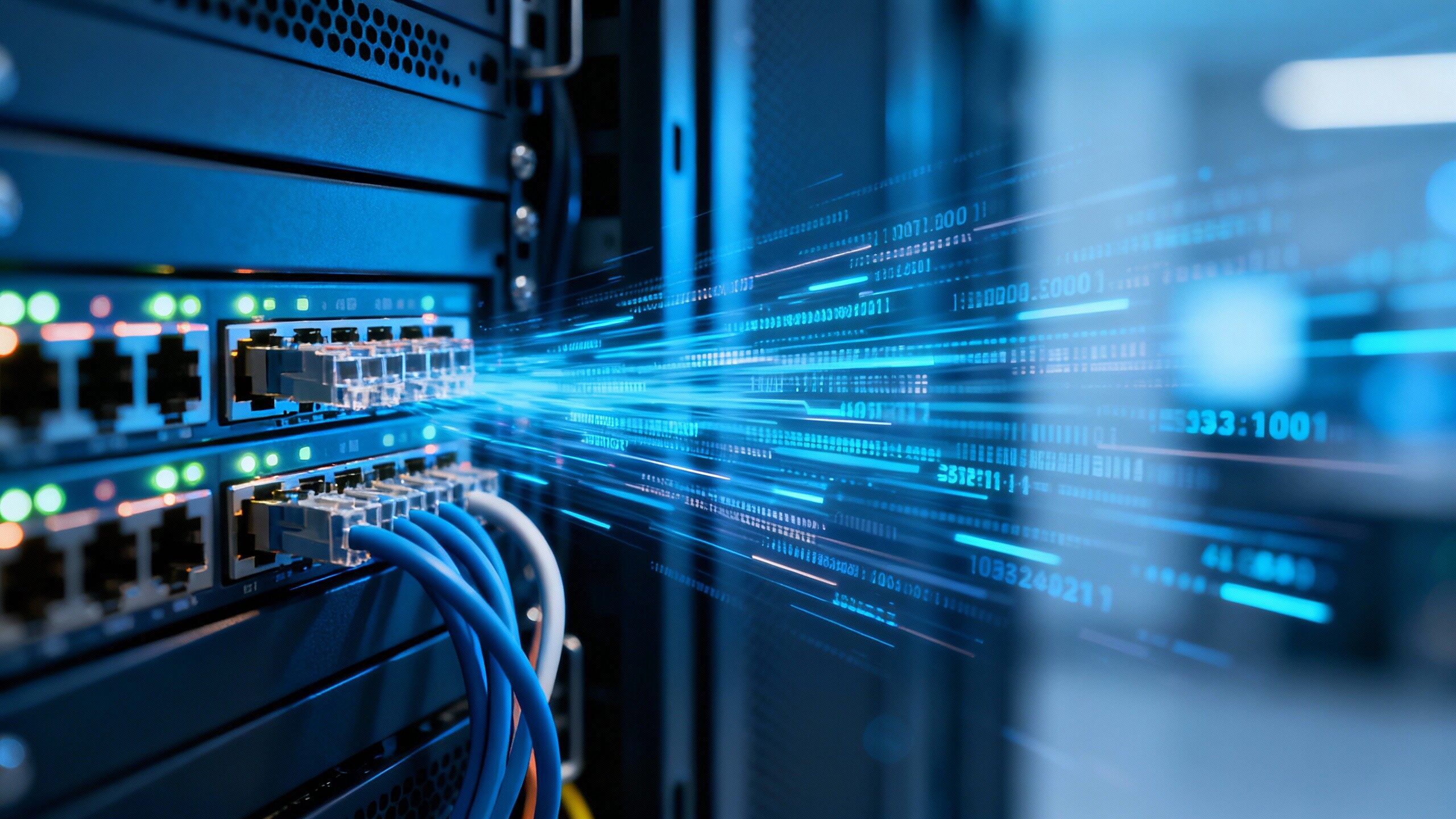 深圳vs广东外贸独立站:哪个地区的建站成本更低?数据对比