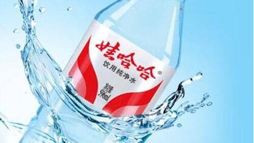 探求娃哈哈网站建设成功之谜：实用规律，值得借鉴！