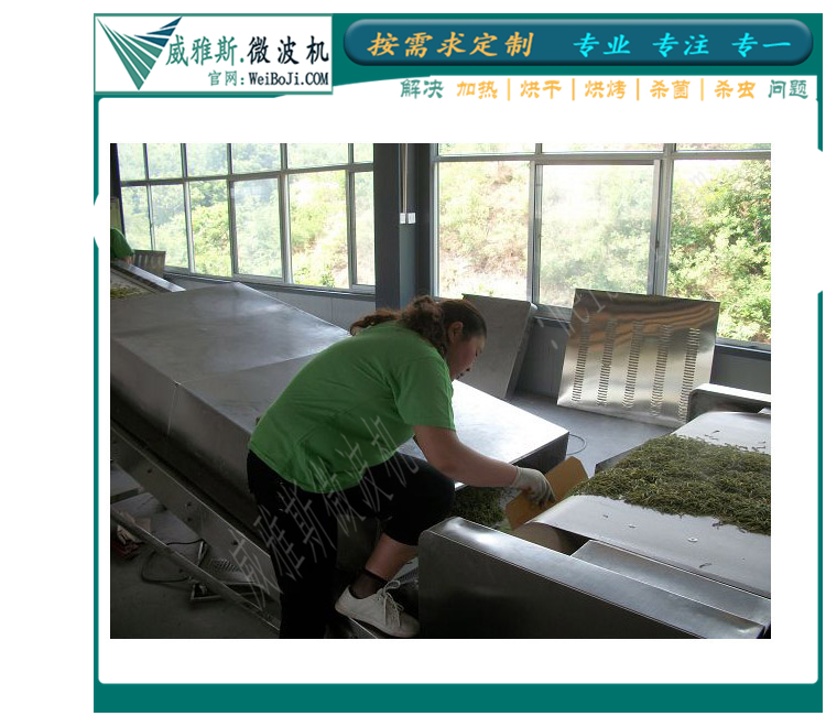 金银花杀青固色设备