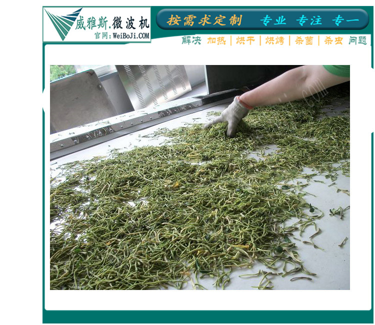 鲜花杀青机 鲜化杀青用隧道微波机