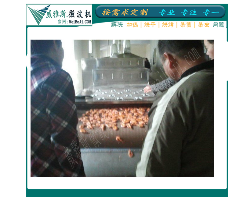 微波烤虾设备