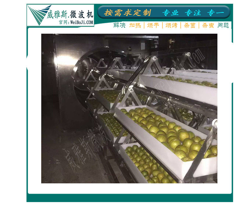 微波真空干燥设备