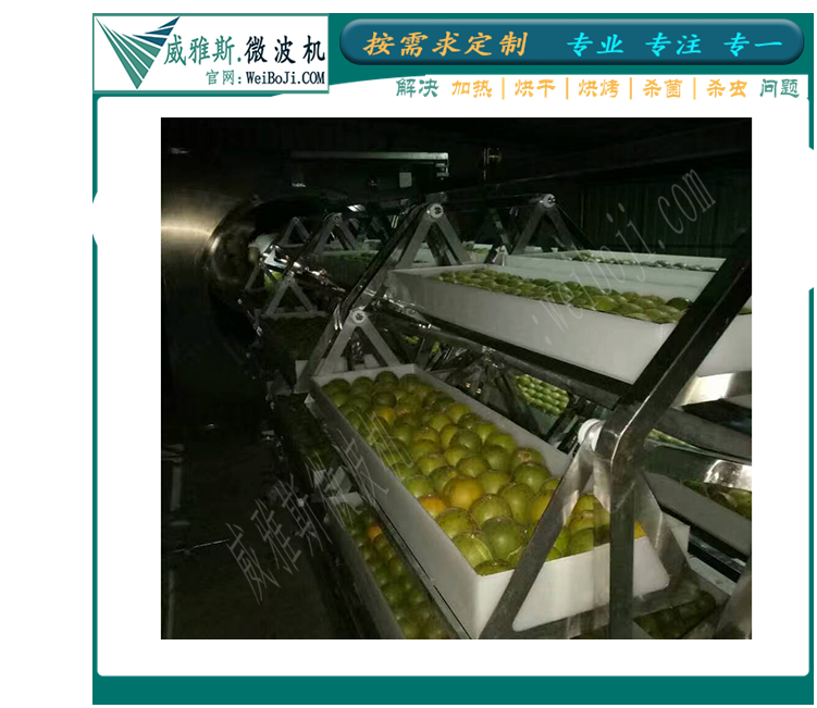 水果真空干燥机