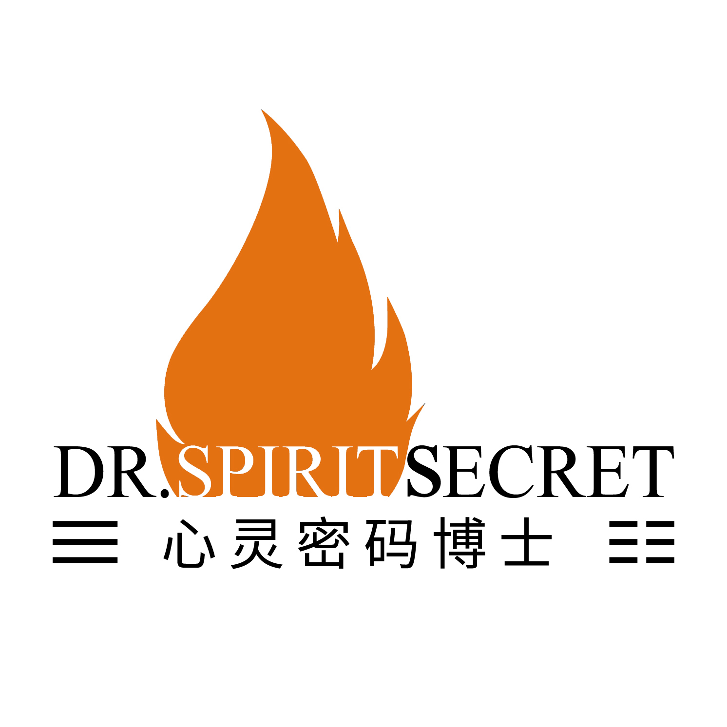 DR.SPIRITSECRET 心灵密码博士团队