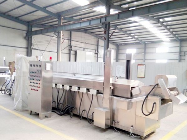 油炸流水线特点分析