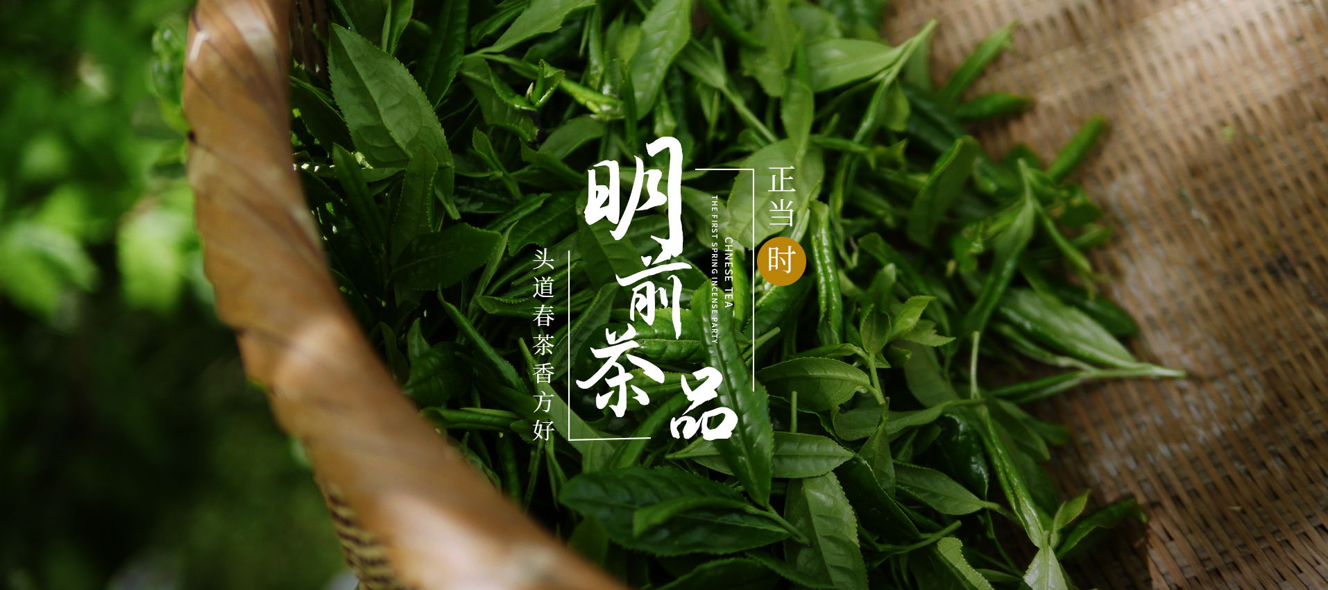 微信图片_20241211152249.png