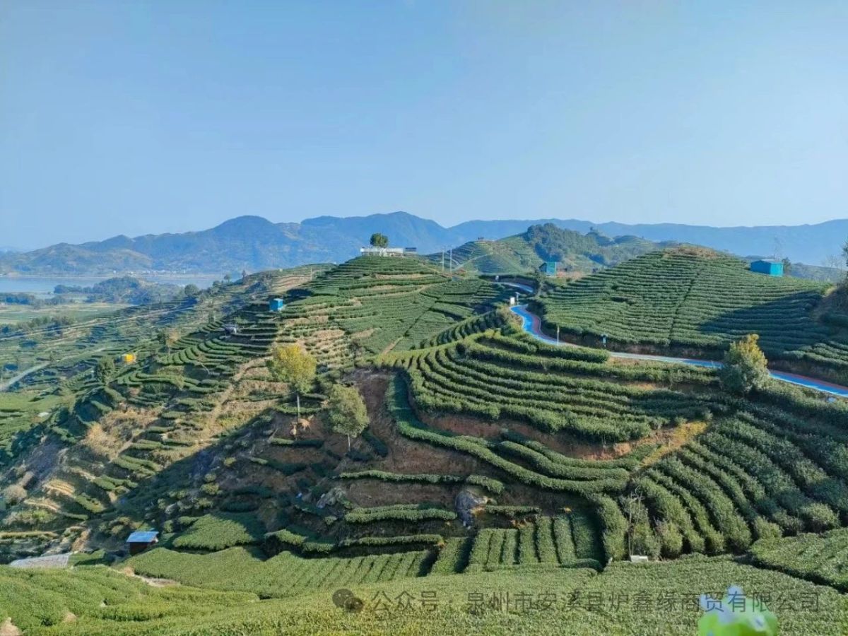 8d25a00b2fde5d48c6435f3b550ffed0.jpg 1743060726763785805132926976.jpg