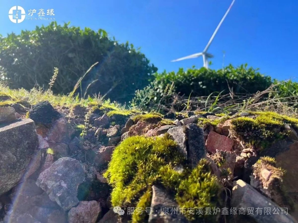 7b3ea82a72b9e83b39a25c41562013f3.jpg 1743060891763786496542969856.jpg