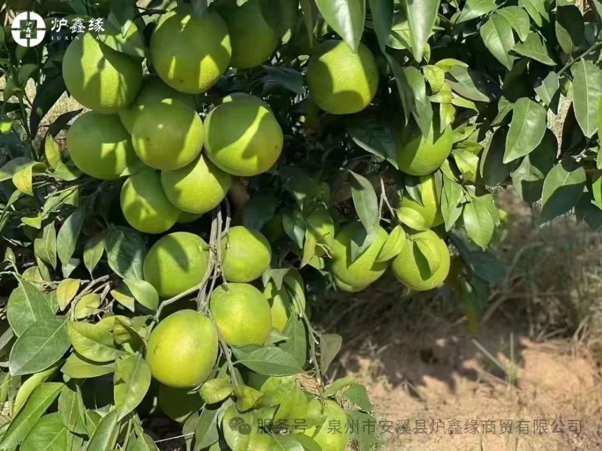 67f6857149d97933f77f878c3a3ed516.jpg 1743060908763786569565798400.jpg