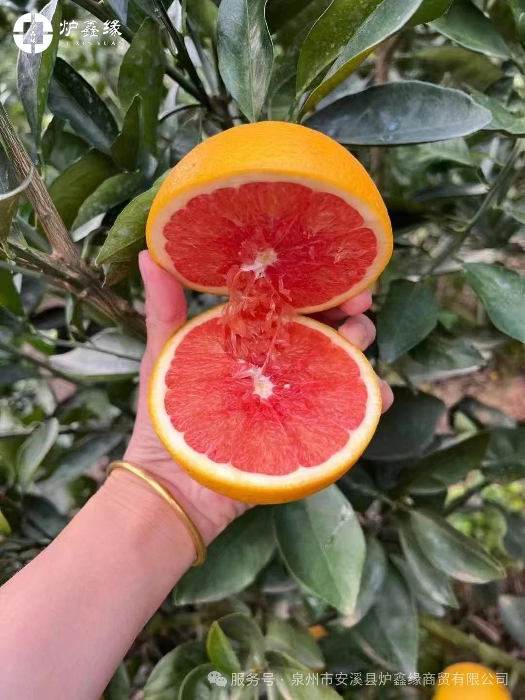 95db117779c8d9485548768c56679b27.jpg 1743060944763786719382147072.jpg