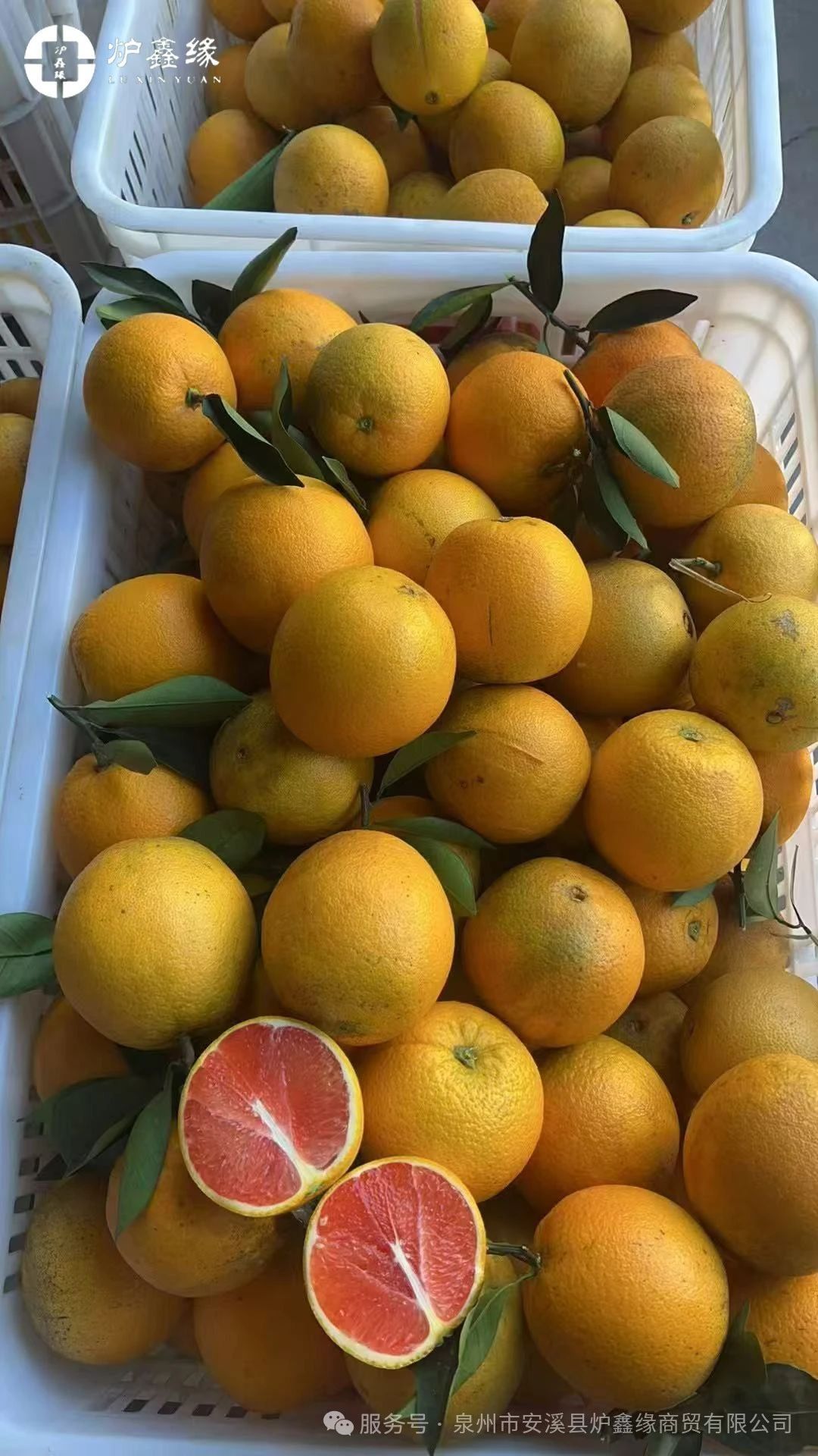 930a4748389936a61f479505d79c7a62.jpg 1743060966763786811740717056.jpg