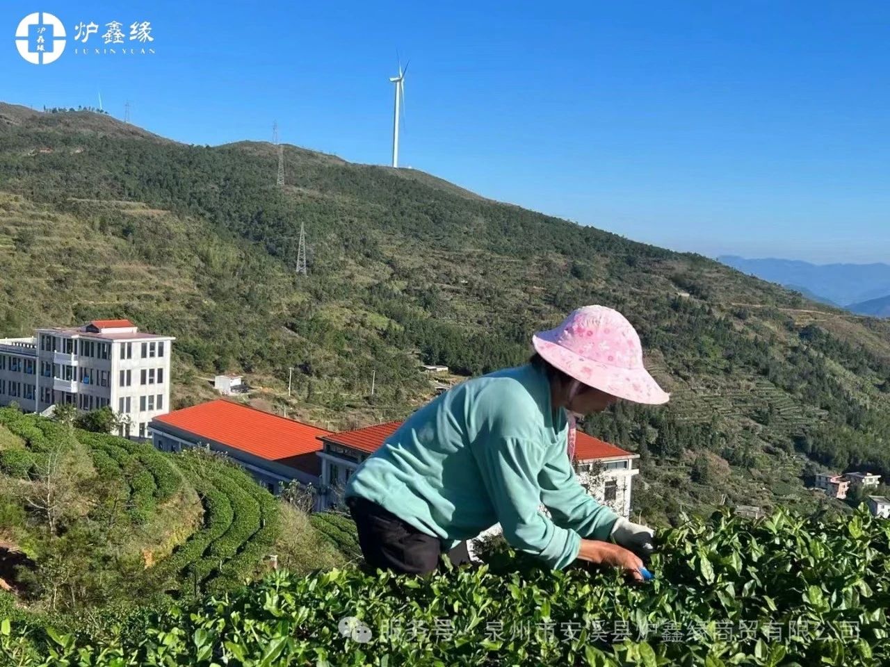 携手共进，同创辉煌 ——泉州市安溪县炉鑫缘商贸有限公司