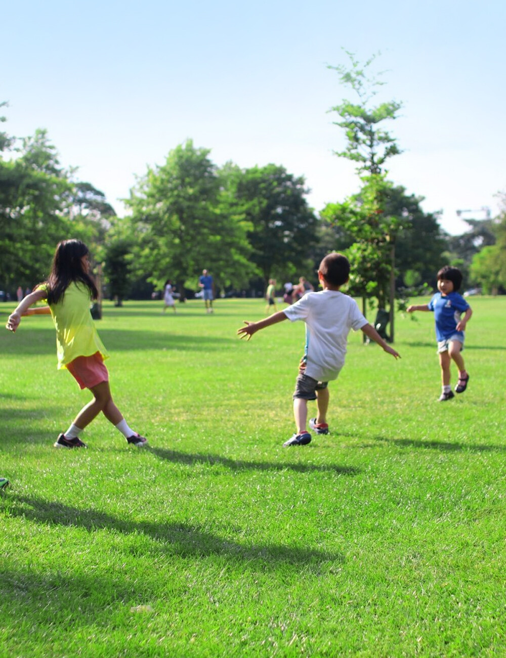 公民绿色碳<br/>积分系统