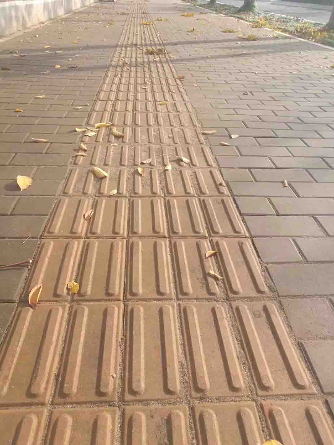 生态 荷兰西班牙砖