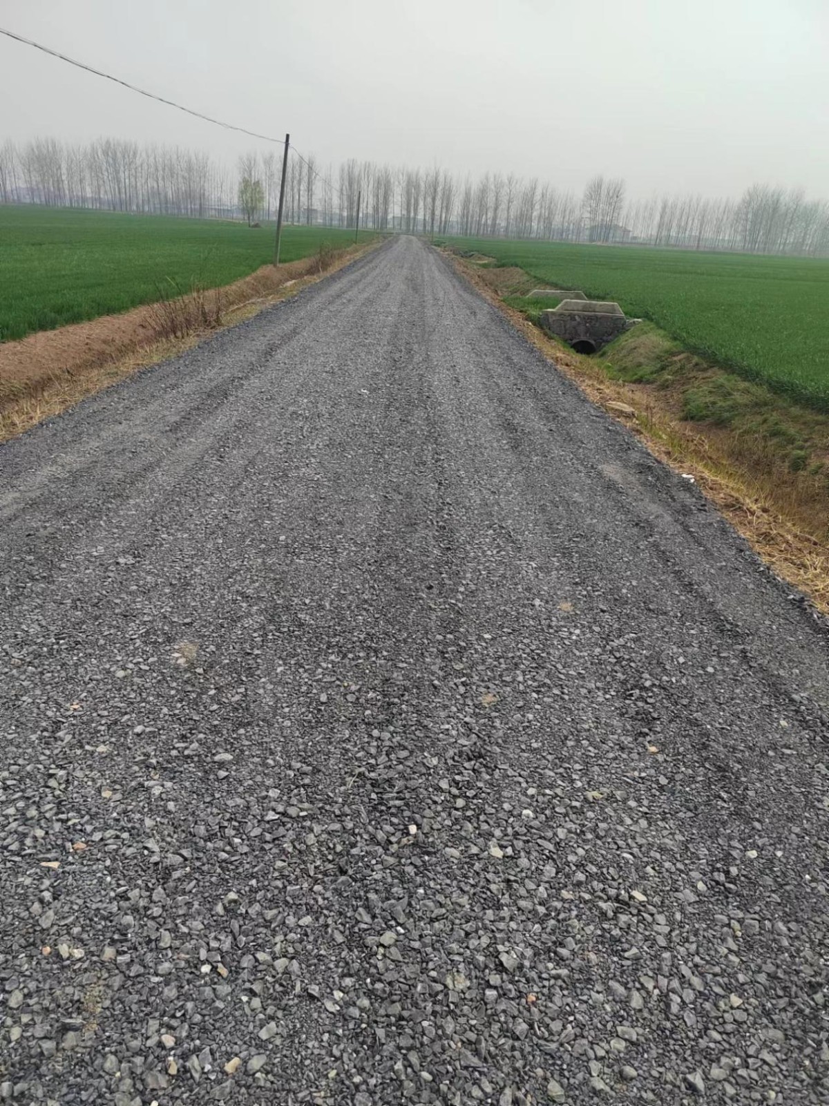 圖片11.png 圖片11.png