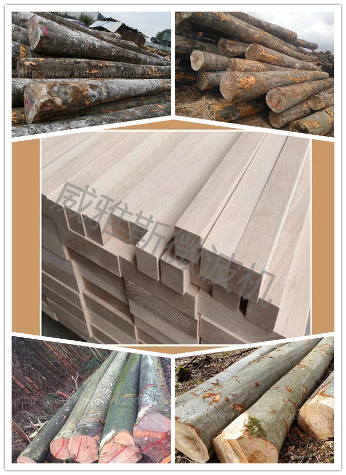 威雅斯重新定义国产水清冈烘干工艺