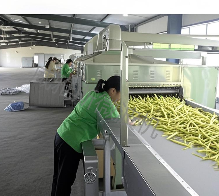 黄花菜杀青烘干机