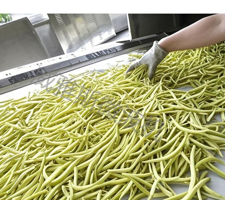 黄花菜杀青机2.png 黄花菜杀青机2.png