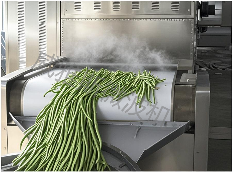 豆角杀青护色设备