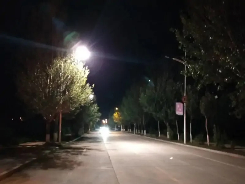 黑龙江孙吴县中央大街路灯.jpg 黑龙江孙吴县中央大街路灯.jpg