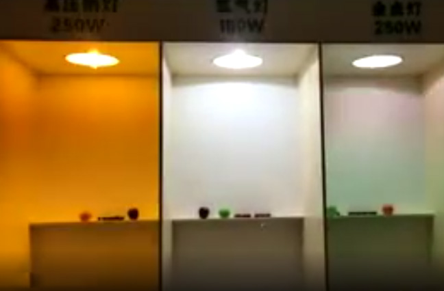 三种灯展示效果